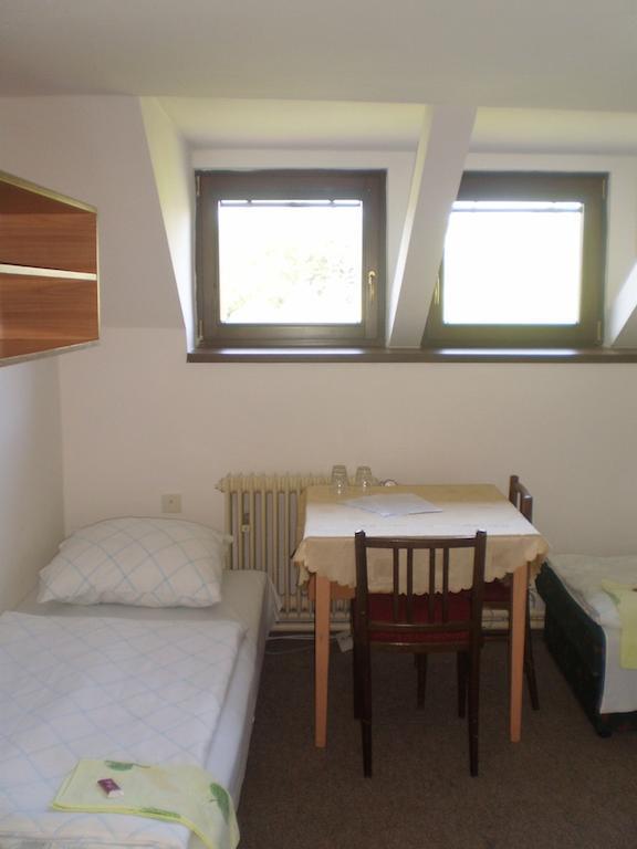 Hotel Pod Skalou Pisek  Exterior photo